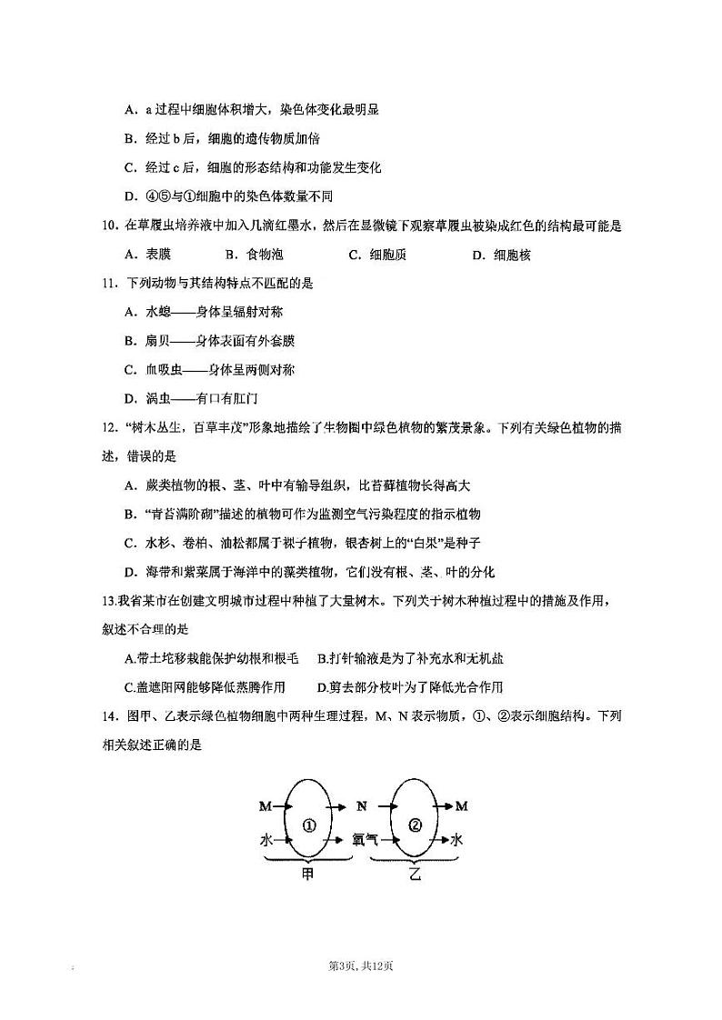 陕西省西安交通大学附属中学分校2023-2024学年七年级+下学期期末考试生物试题03