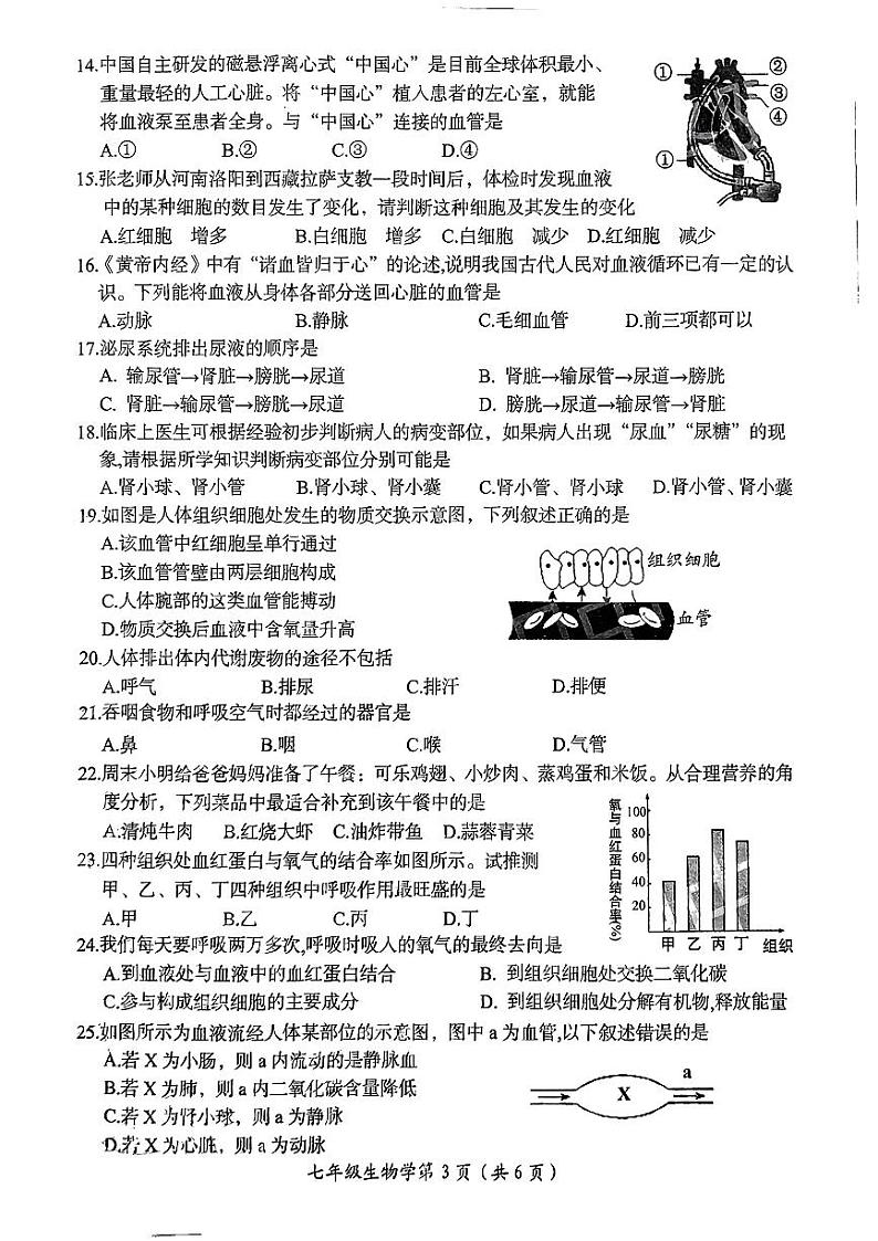河南省洛阳市2023-2024学年七年级下学期期末测试生物试卷03