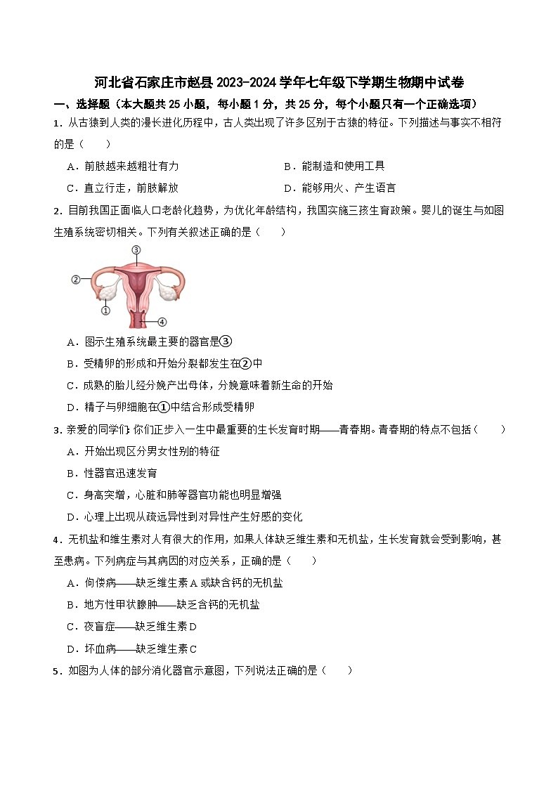 河北省石家庄市赵县2023-2024学年七年级下学期期中考试生物试卷第1页