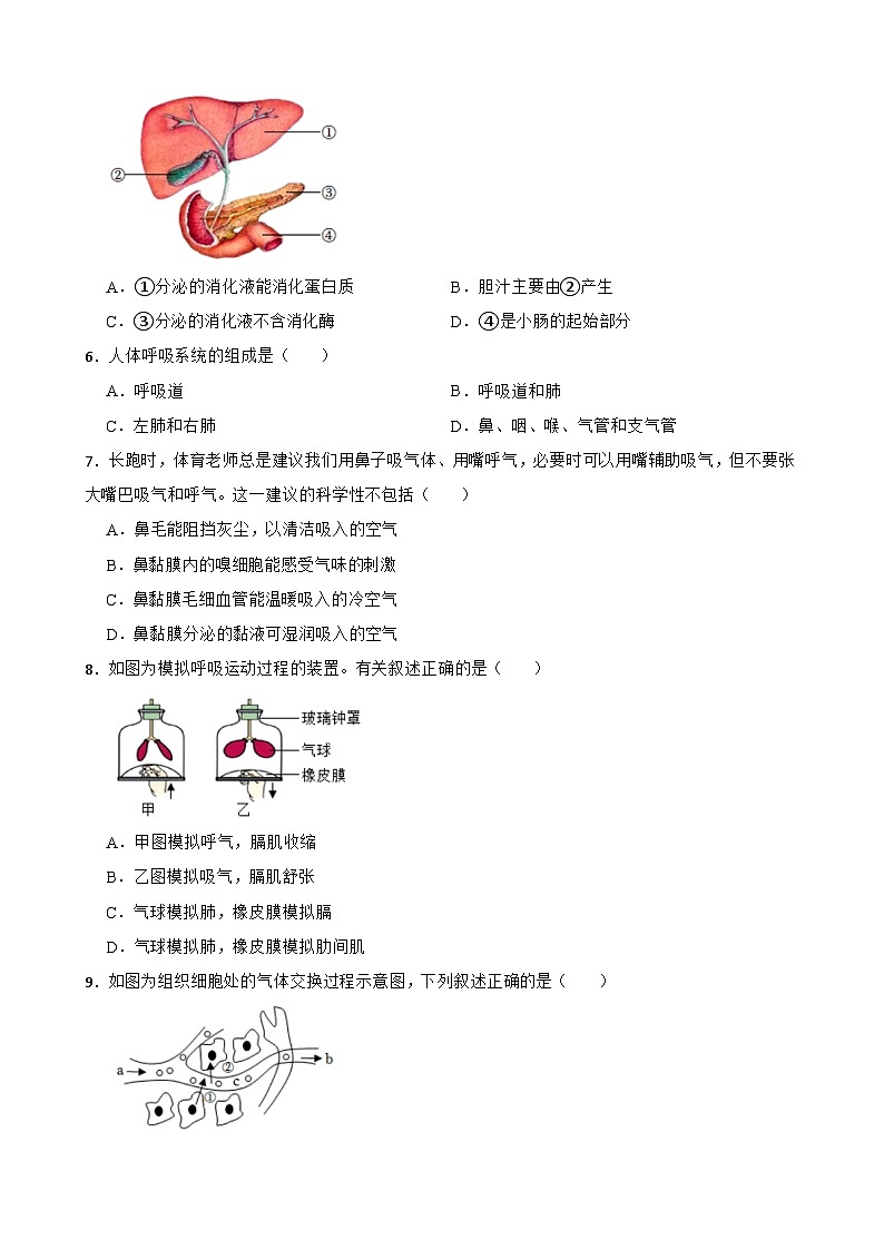 河北省石家庄市赵县2023-2024学年七年级下学期期中考试生物试卷第2页