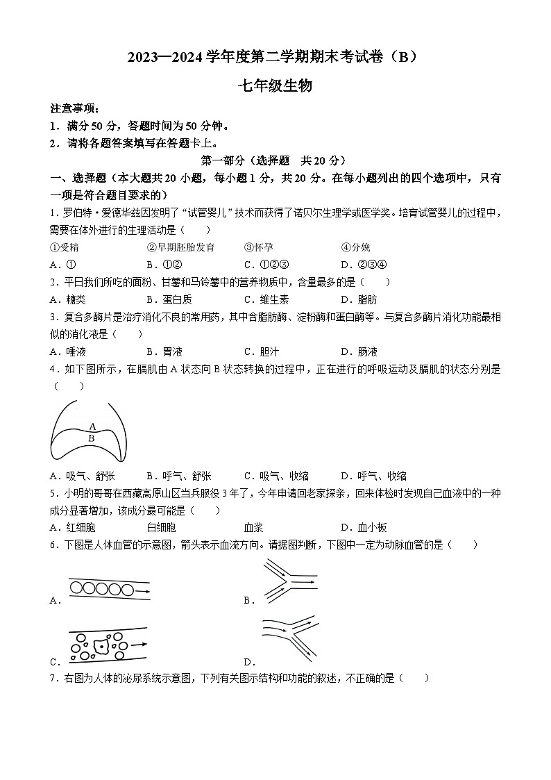 河南省商丘市虞城县2023-2024学年七年级下学期期末生物试题01