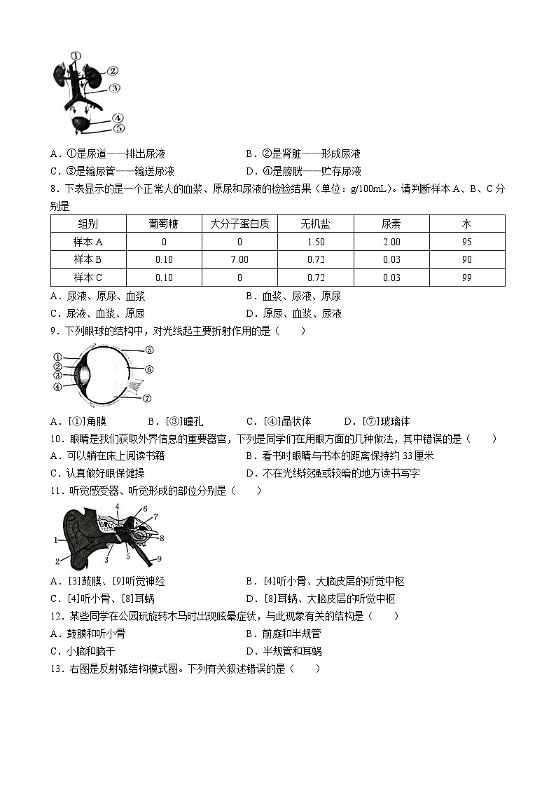 河南省商丘市虞城县2023-2024学年七年级下学期期末生物试题02