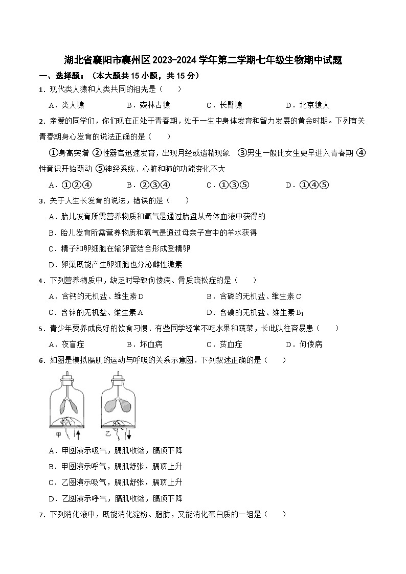 湖北省襄阳市襄州区2023-2024学年七年级下学期期中考试生物试题01