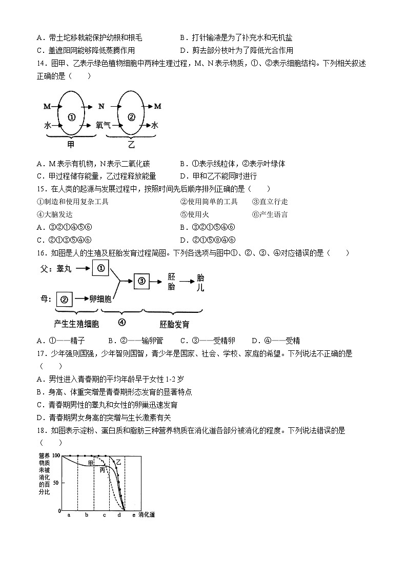 陕西省西安交通大学附属中学分校2023-2024学年七年级+下学期期末考试生物试题(无答案)03