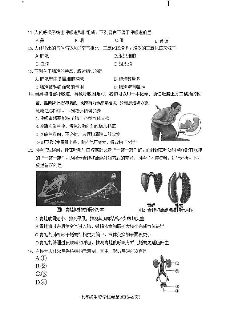 北京市朝阳区2023-2024学年七年级下学期期末考试生物试题第3页