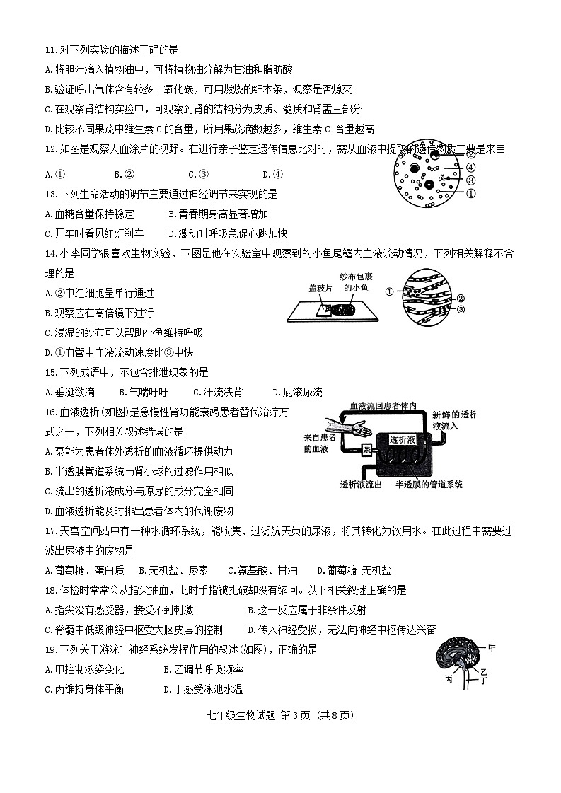 山东省济南市槐荫区2023-2024学年七年级下学期6月期末生物试题03