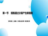 【核心素养目标】人教版初中生物七年级上册1.3.1《细胞通过分裂产生新细胞》 课件+视频+教学设计+同步分层练习（含答案）
