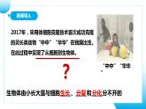 【核心素养目标】人教版初中生物七年级上册1.3.1《细胞通过分裂产生新细胞》 课件+视频+教学设计+同步分层练习（含答案）