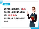 【核心素养目标】人教版初中生物七年级上册1.3.1《细胞通过分裂产生新细胞》 课件+视频+教学设计+同步分层练习（含答案）