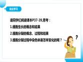 【核心素养目标】人教版初中生物七年级上册1.3.1《细胞通过分裂产生新细胞》 课件+视频+教学设计+同步分层练习（含答案）