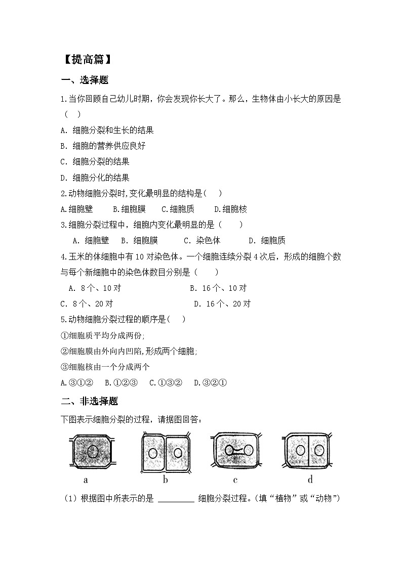 【核心素养目标】人教版初中生物七年级上册1.3.1《细胞通过分裂产生新细胞》 课件+视频+教学设计+同步分层练习（含答案）03