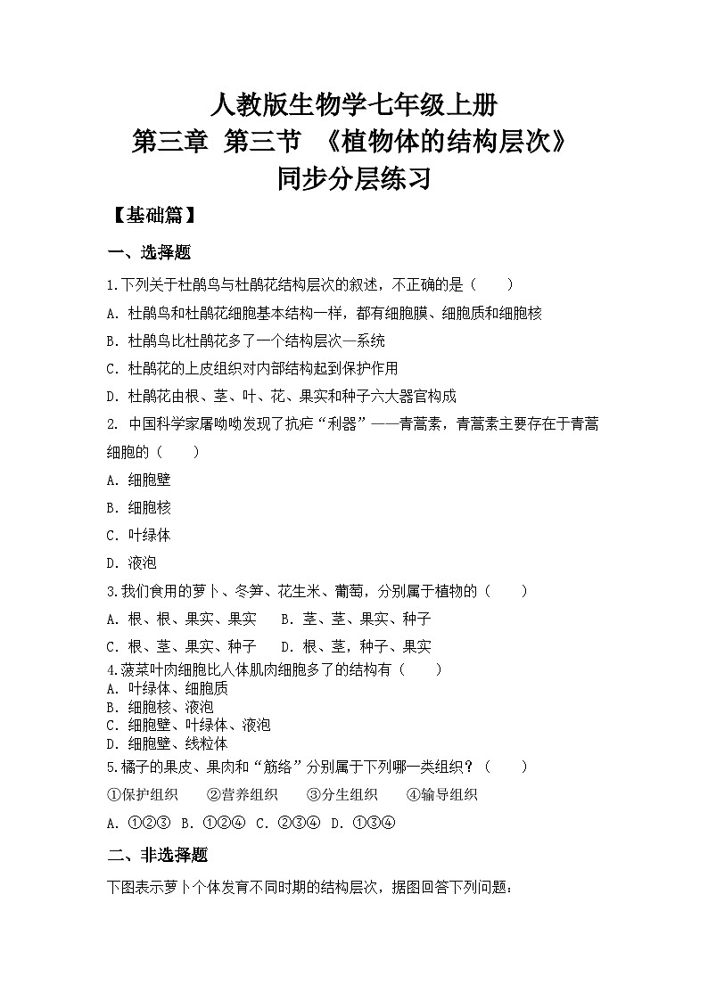 【核心素养目标】人教版初中生物七年级上册1.3.3《植物体的结构层次》 课件+视频+教学设计+同步分层练习（含答案）01