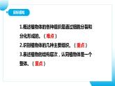 【核心素养目标】人教版初中生物七年级上册1.3.3《植物体的结构层次》 课件+视频+教学设计+同步分层练习（含答案）