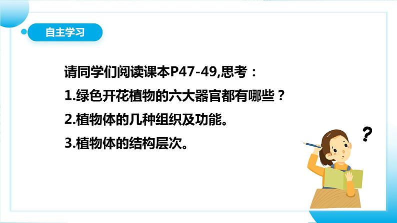 【核心素养目标】人教版初中生物七年级上册1.3.3《植物体的结构层次》 课件+视频+教学设计+同步分层练习（含答案）05