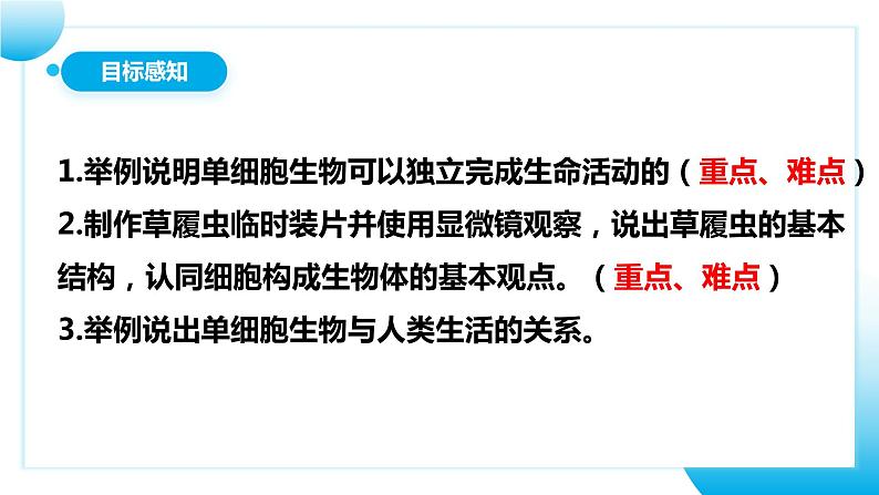 人教版初中生物七年级上册1.3.4《单细胞生物》课件第5页