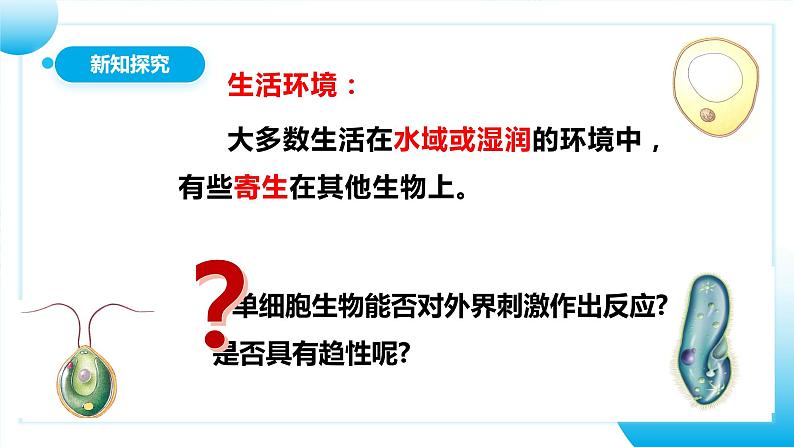 人教版初中生物七年级上册1.3.4《单细胞生物》课件第8页