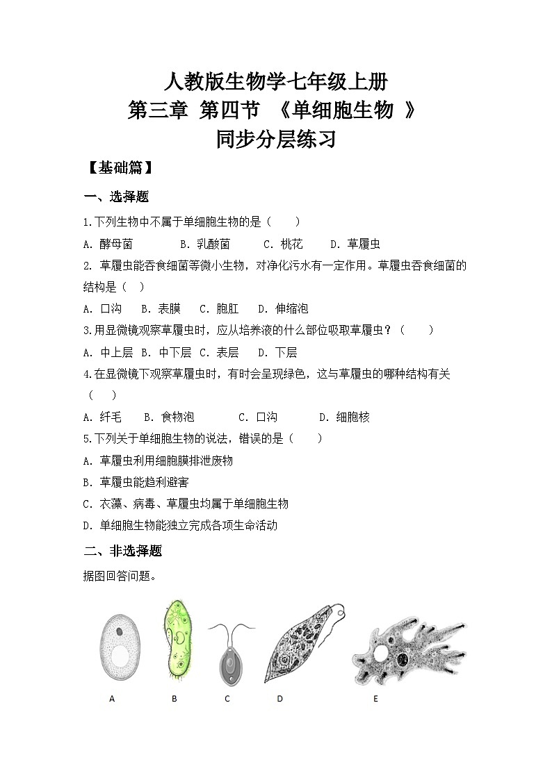 【核心素养目标】人教版初中生物七年级上册1.3.4《单细胞生物》 课件+视频+教学设计+同步分层练习（含答案）01