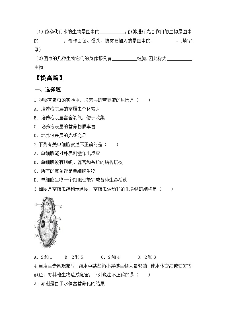【核心素养目标】人教版初中生物七年级上册1.3.4《单细胞生物》 课件+视频+教学设计+同步分层练习（含答案）02