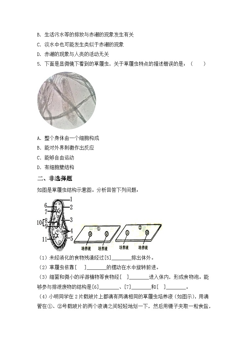 【核心素养目标】人教版初中生物七年级上册1.3.4《单细胞生物》 课件+视频+教学设计+同步分层练习（含答案）03