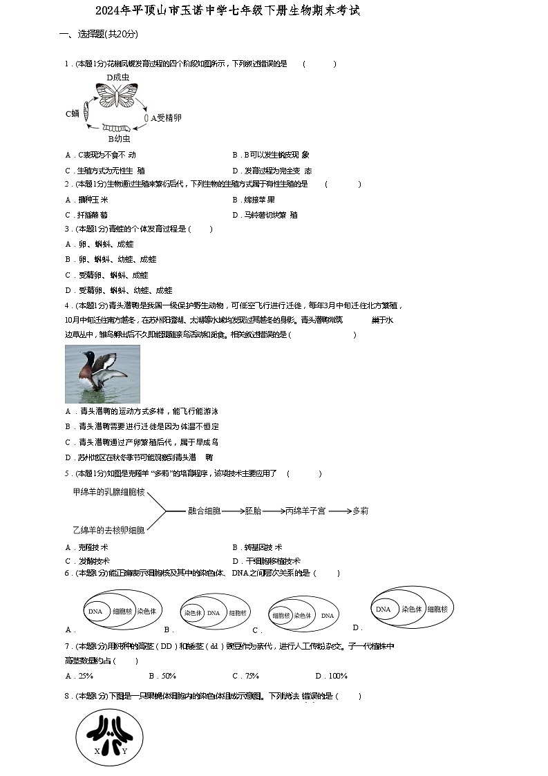 河南省平顶山市玉诺中学2023-2024学年七年级下学期6月期末生物试题01