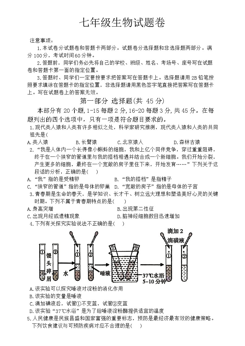 河南省三门峡市2023-2024学年七年级下学期6月期末考试生物试题卷第1页