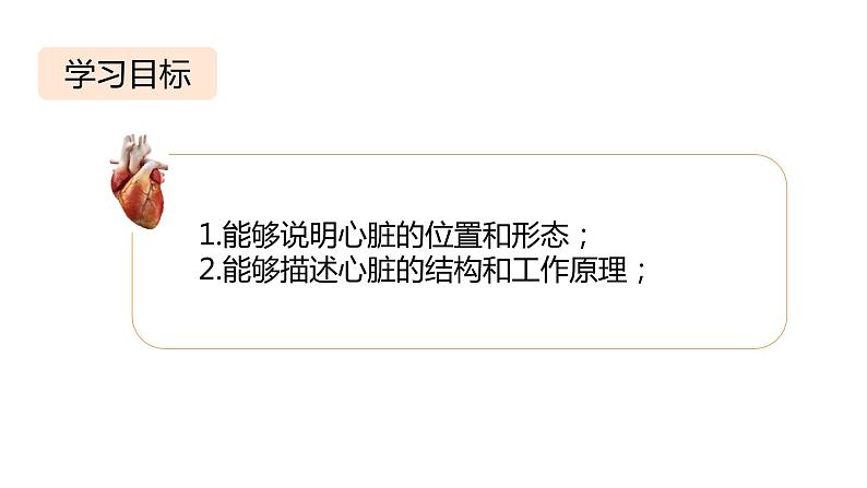 4.4.3 输送血液的泵──心脏课件2023-2024学年人教版生物七年级下册第3页