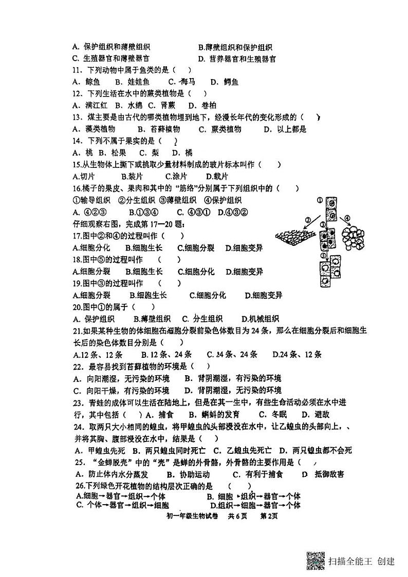江苏省扬州大学附属中学东部分校2023-2024学年七年级下学期6月期末生物试题02