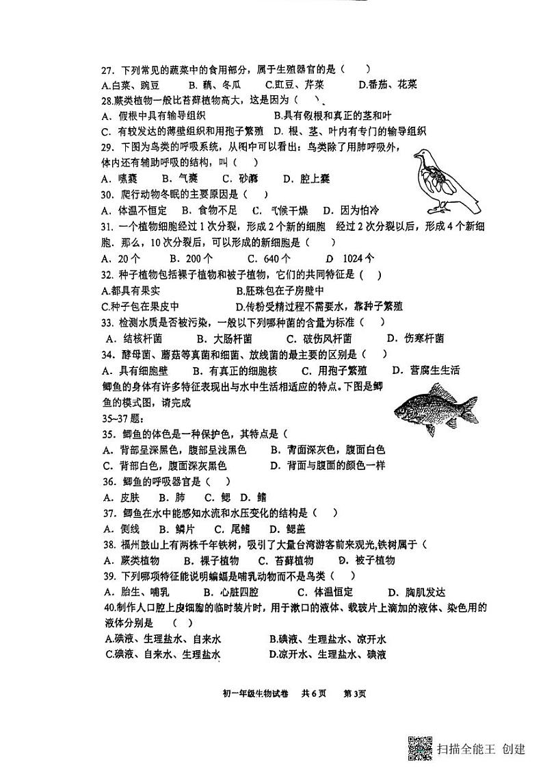 江苏省扬州大学附属中学东部分校2023-2024学年七年级下学期6月期末生物试题03
