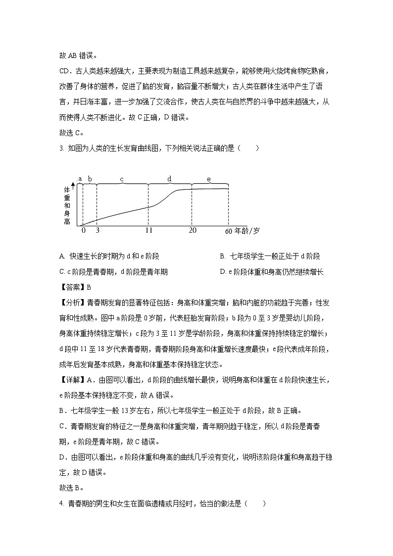 [生物]陕西省咸阳市秦都区2022-2023学年七年级下学期期中试题（解析版）02