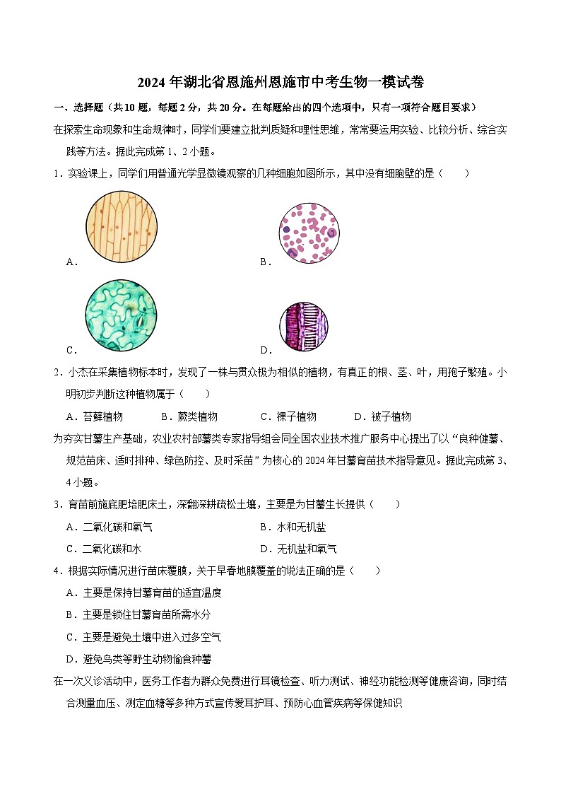 2024年湖北省恩施州恩施市中考生物一模试卷01