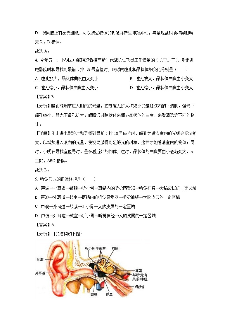 [生物]山东省威海市文登区城区重点初中联考2023-2024学年七年级下学期期中试题（解析版）第3页