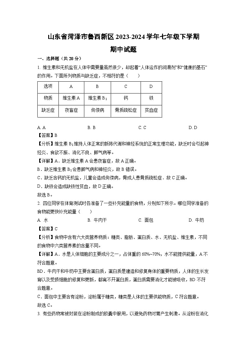 [生物]山东省菏泽市鲁西新区2023-2024学年七年级下学期期中试题（解析版）01