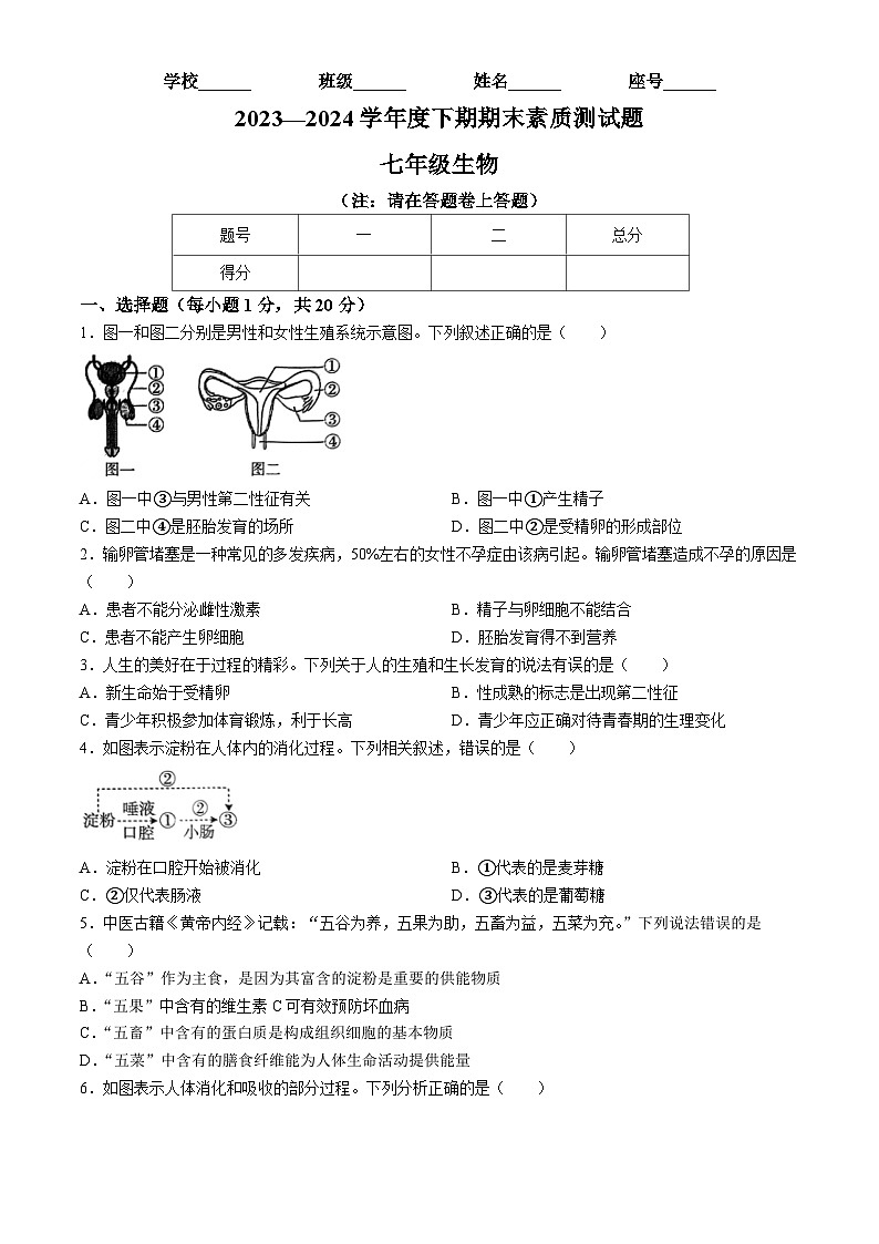 河南省驻马店市泌阳县2023-2024学年七年级下学期6月期末生物试题第1页