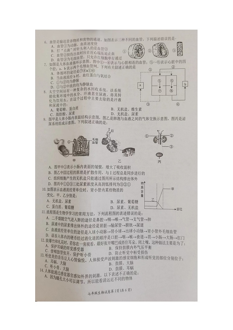 湖南省岳阳市临湘市2023-2024学年七年级下学期6月期末生物试题02