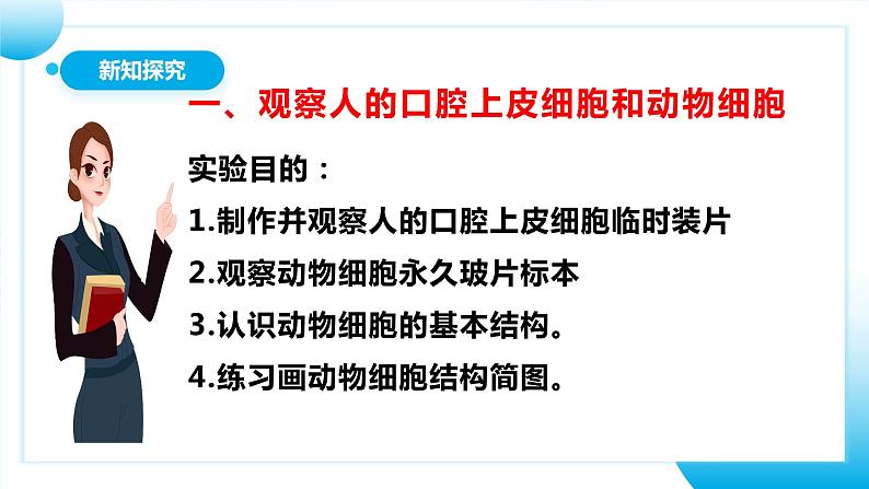 【核心素养目标】人教版初中生物七年级上册1.2.3《动物细胞》 课件+视频+教学设计+同步分层练习（含答案）06