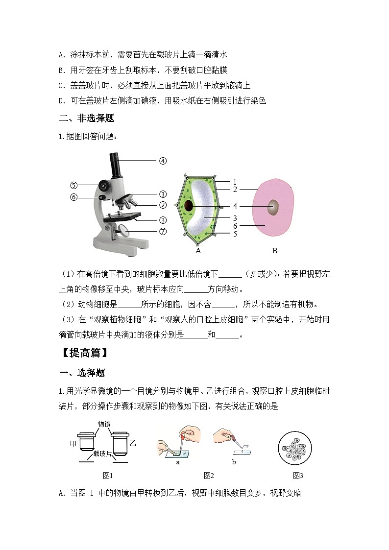 【核心素养目标】人教版初中生物七年级上册1.2.3《动物细胞》 课件+视频+教学设计+同步分层练习（含答案）02