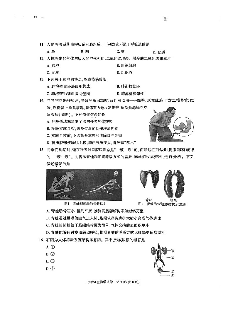 [生物]2024北京朝阳初一下学期期末试卷03