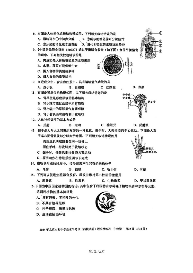 [生物]2024北京西城初二下学期期末6月适应性模拟考试试卷02