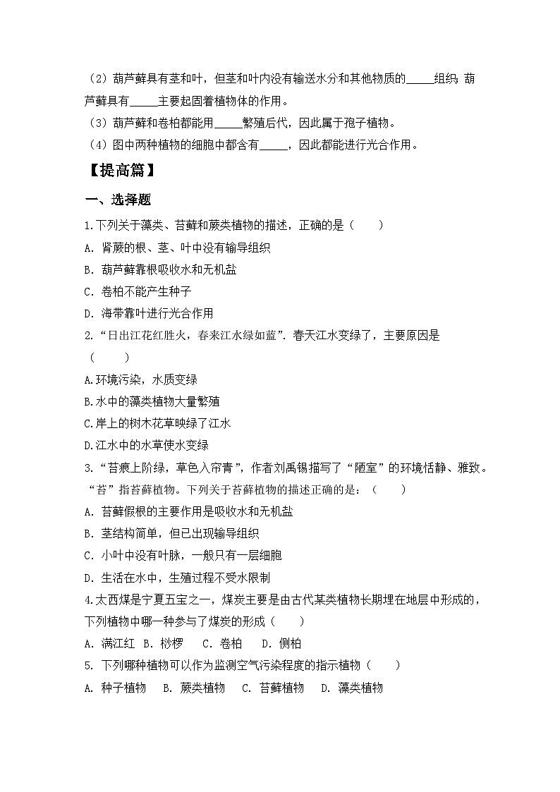 【核心素养目标】人教版初中生物七年级上册2.1.1《藻类、苔藓和蕨类植物》 课件+视频+教学设计+同步分层练习（含答案）02