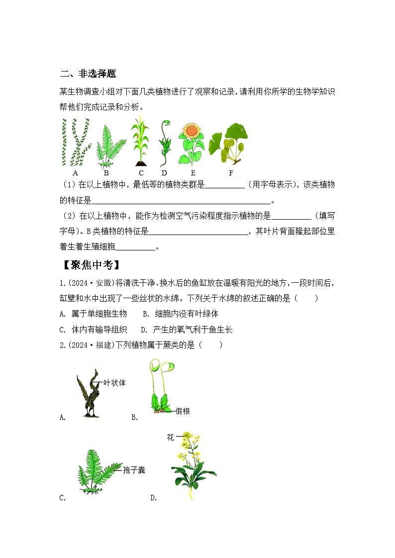 【核心素养目标】人教版初中生物七年级上册2.1.1《藻类、苔藓和蕨类植物》 课件+视频+教学设计+同步分层练习（含答案）03