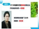【核心素养目标】人教版初中生物七年级上册2.1.1《藻类、苔藓和蕨类植物》 课件+视频+教学设计+同步分层练习（含答案）
