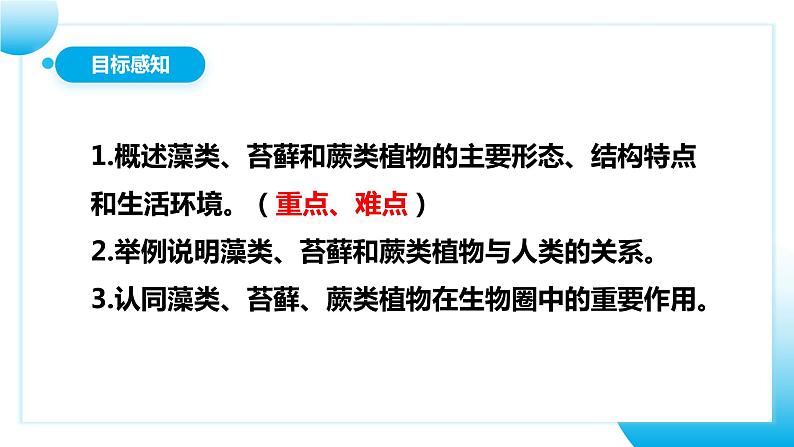 【核心素养目标】人教版初中生物七年级上册2.1.1《藻类、苔藓和蕨类植物》 课件+视频+教学设计+同步分层练习（含答案）04