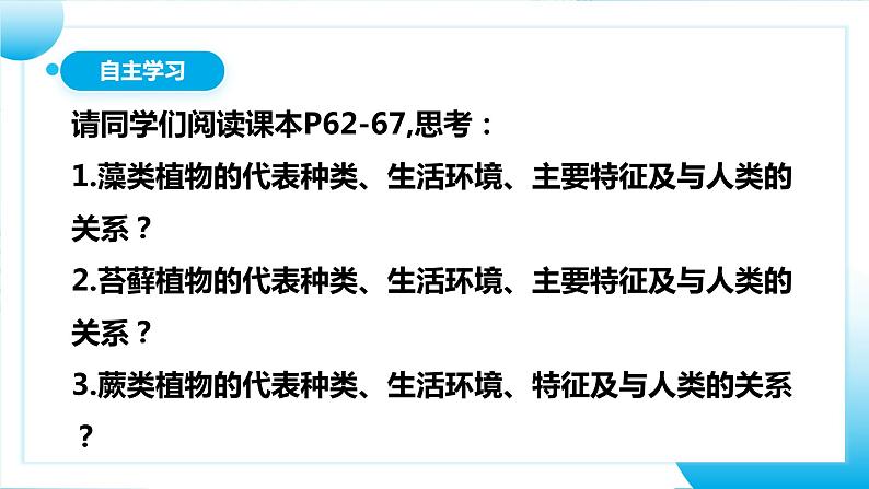 【核心素养目标】人教版初中生物七年级上册2.1.1《藻类、苔藓和蕨类植物》 课件+视频+教学设计+同步分层练习（含答案）05