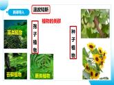 【核心素养目标】人教版初中生物七年级上册2.1.2《种子植物》 课件+视频+教学设计+同步分层练习（含答案）