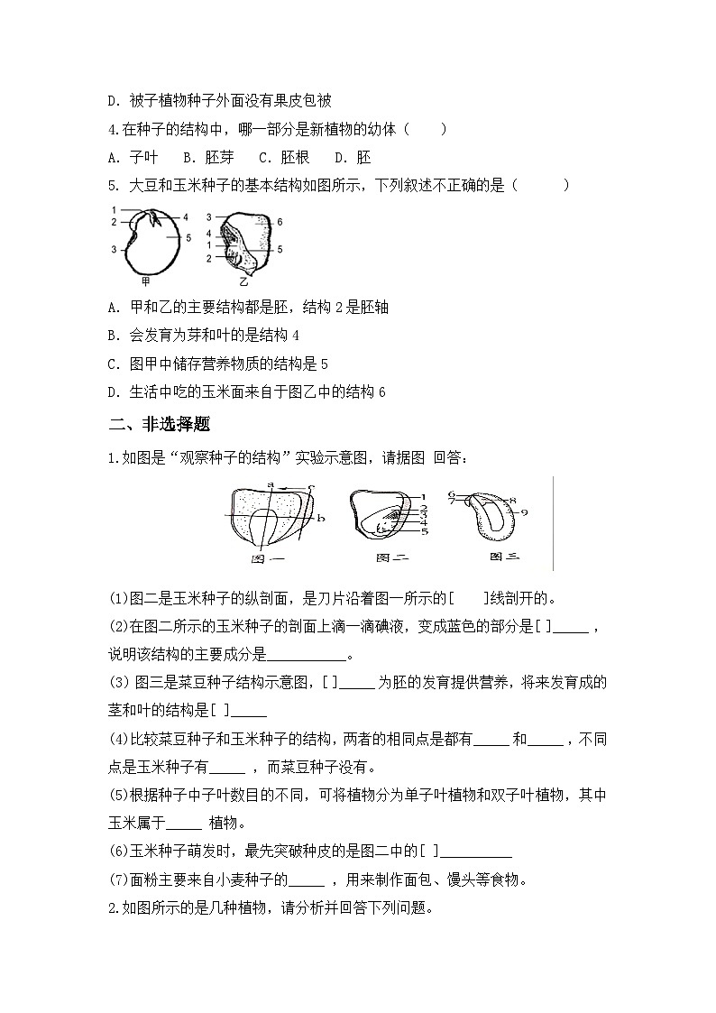 【核心素养目标】人教版初中生物七年级上册2.1.2《种子植物》 课件+视频+教学设计+同步分层练习（含答案）03