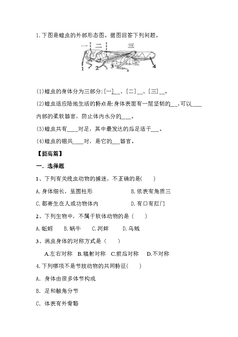 人教版初中生物七年级上册2.2.1《无脊椎动物》同步分层练习（含答案）第2页