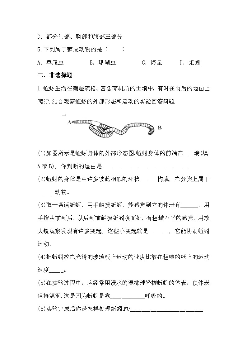 人教版初中生物七年级上册2.2.1《无脊椎动物》同步分层练习（含答案）第3页