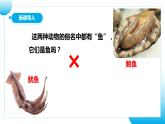 【核心素养目标】人教版初中生物七年级上册2.2.1《无脊椎动物》 课件+视频+教学设计+同步分层练习（含答案）