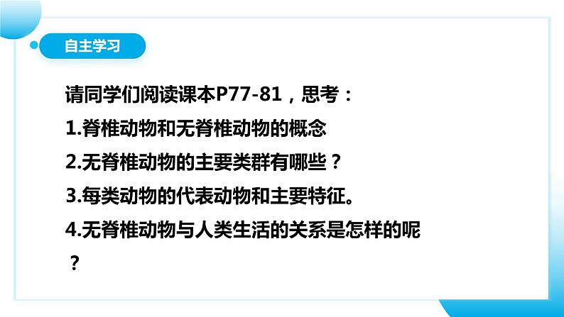 人教版初中生物七年级上册2.2.1《无脊椎动物》课件第5页