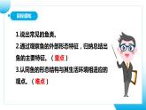 【核心素养目标】人教版初中生物七年级上册2.2.2《脊椎动物—鱼》 课件+视频+教学设计+同步分层练习（含答案）